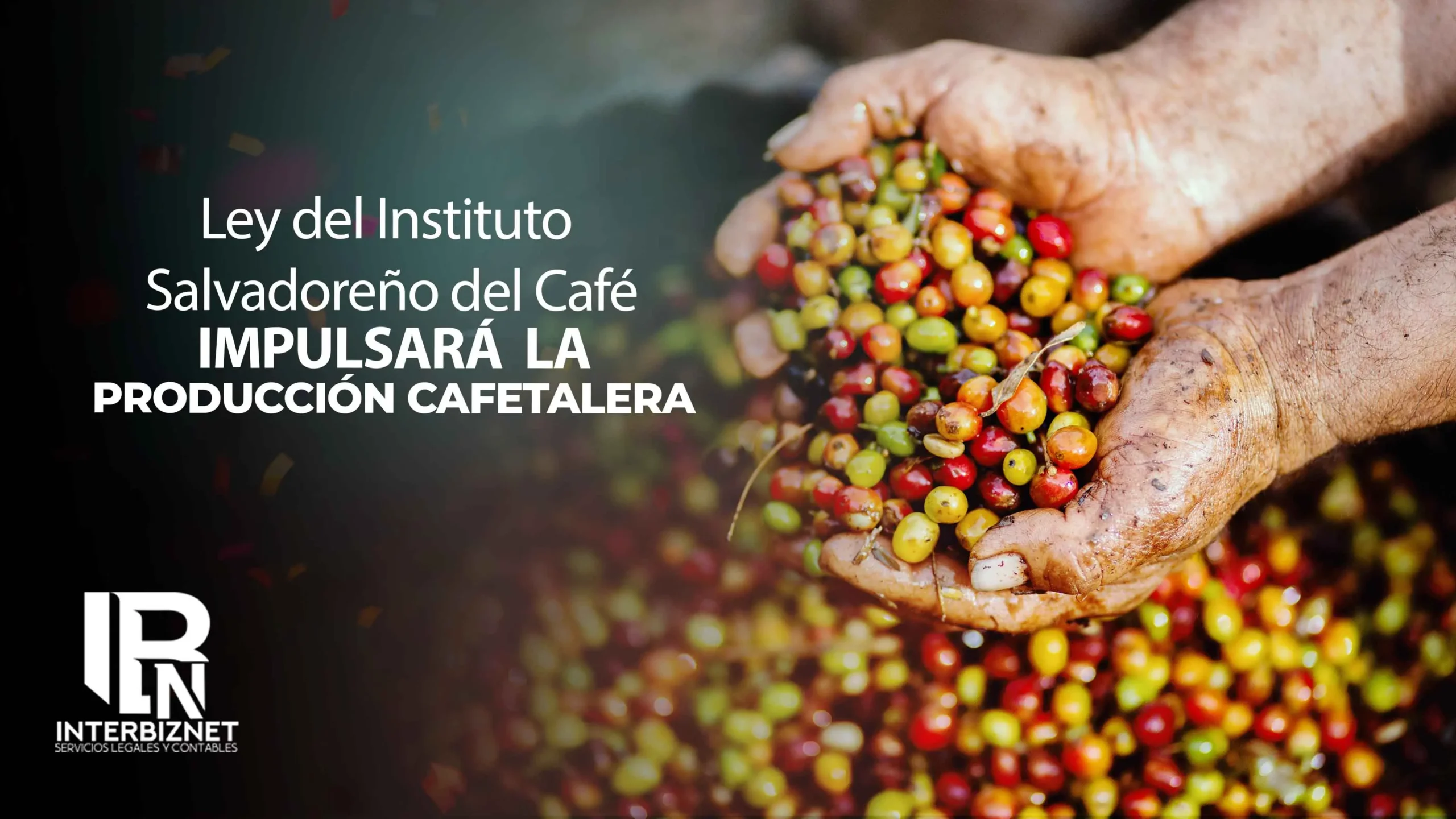 POST WEB3noticicafeley Ley del Instituto del Café en El Salvador